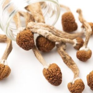 Arenal Volcano Magic Mushrooms 14grams