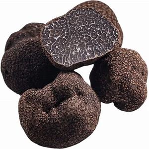 Black Truffle