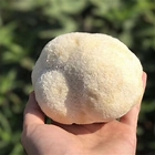 Dried Hericium Erinaceus