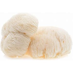 Lions Mane